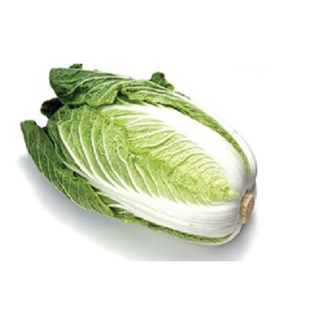 Hạt giống cải thảo - Ảnh 1